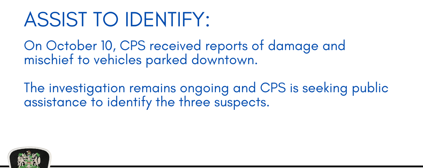 Assist to Identify: Mischief Suspects