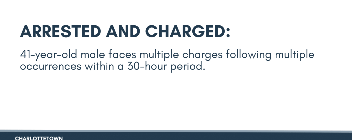 Multiple Occurrences Within 30-hour Period Leads to Charges and Remand