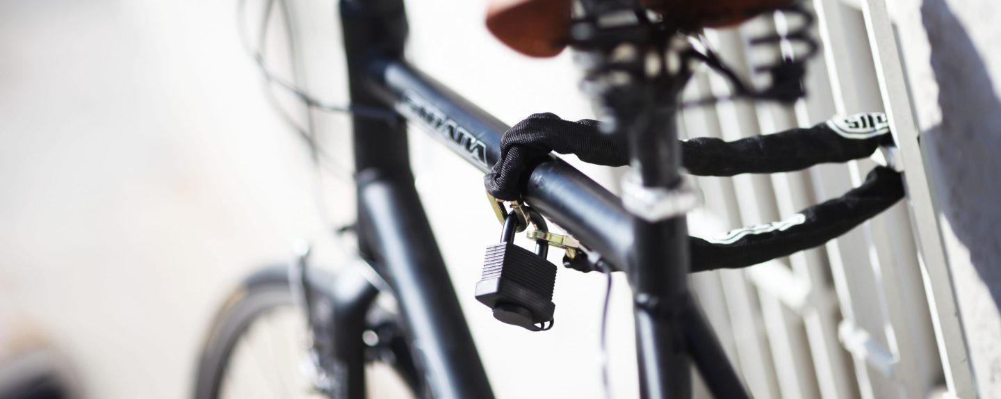 Bike Registration Program